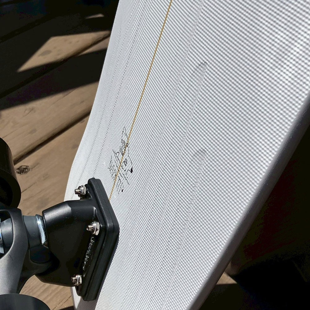 サーフスケート 32.5" カーバー ブラックティップ CARVER BLACK TIP