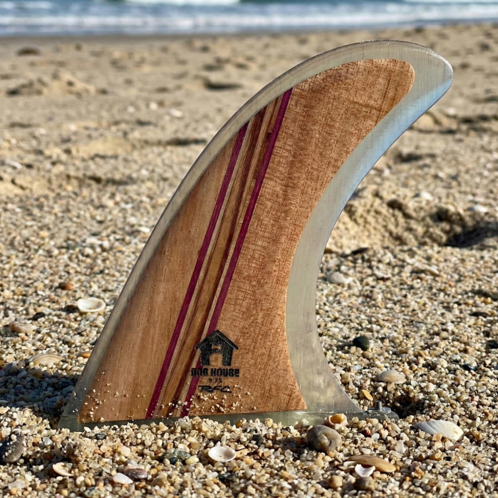 Rainbow fin – 白浜マリーナ